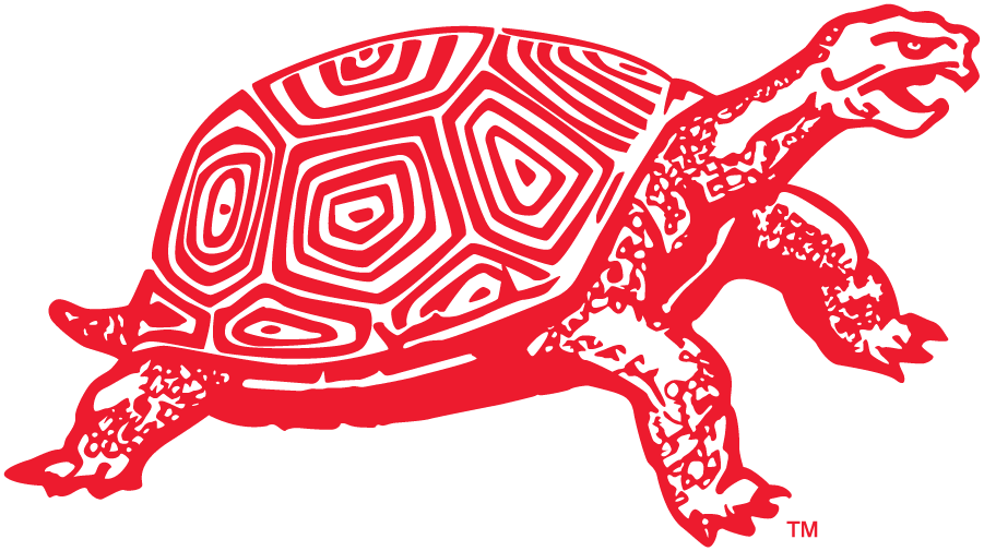 Maryland Terrapins 1950 Secondary Logo DIY iron on transfer (heat transfer)